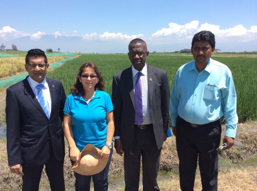 Una delegación del Ministerio de la Producción de Alimentos de Trinidad y Tobago visitó el FLAR  en agosto de 2014. 