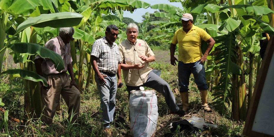 Venezuela Produccion Agricola En Portuguesa Aportara Al Plan De