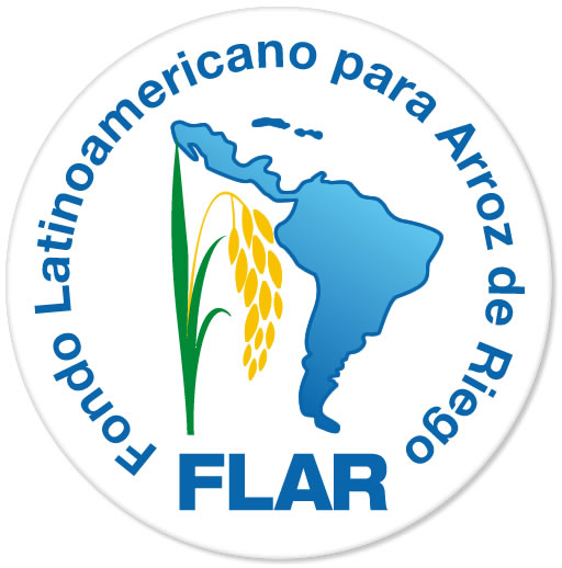 Cambio de imagen del FLAR