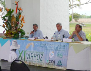 Lanzamiento de la XI Conferencia Internacional de Arroz: Desafíos arroceros siglo XXI