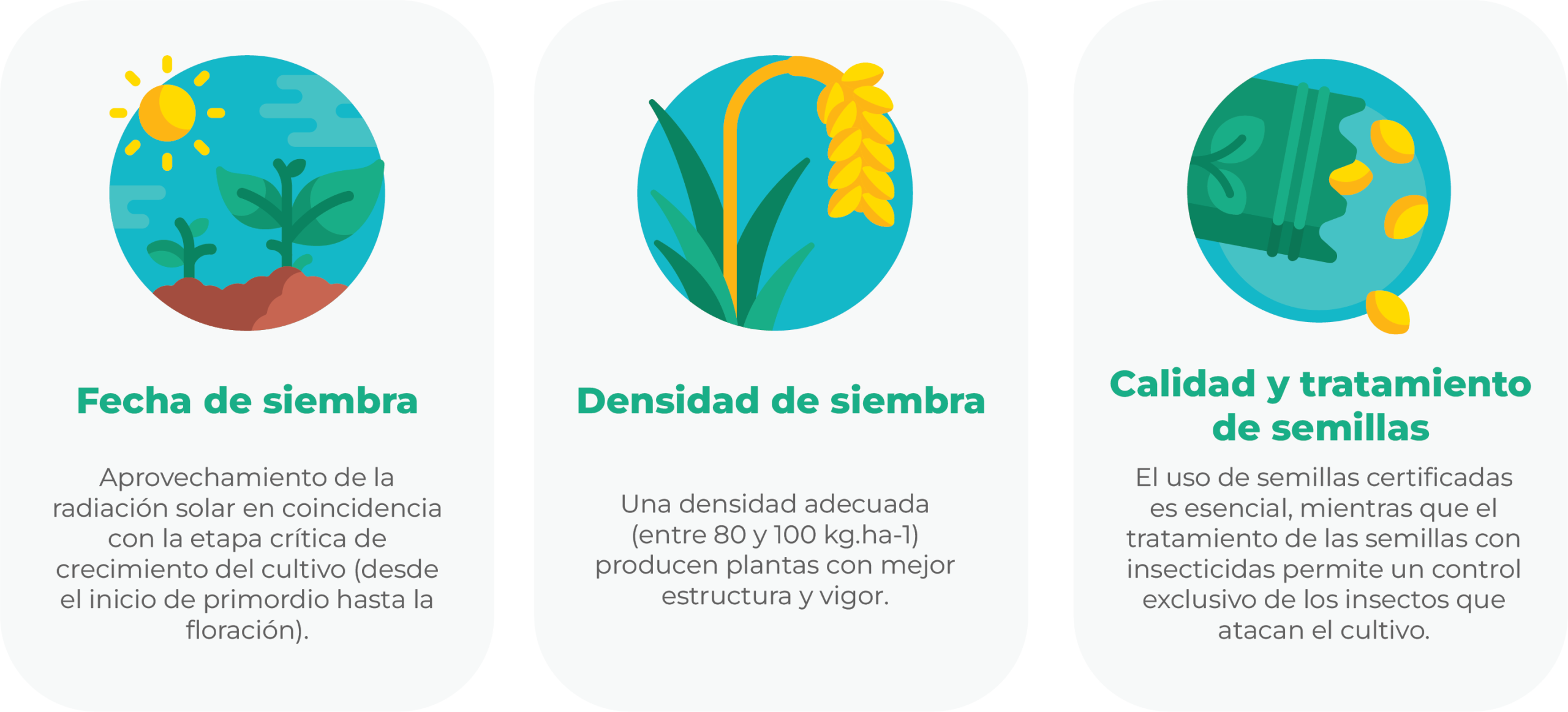 agroonomia1-19