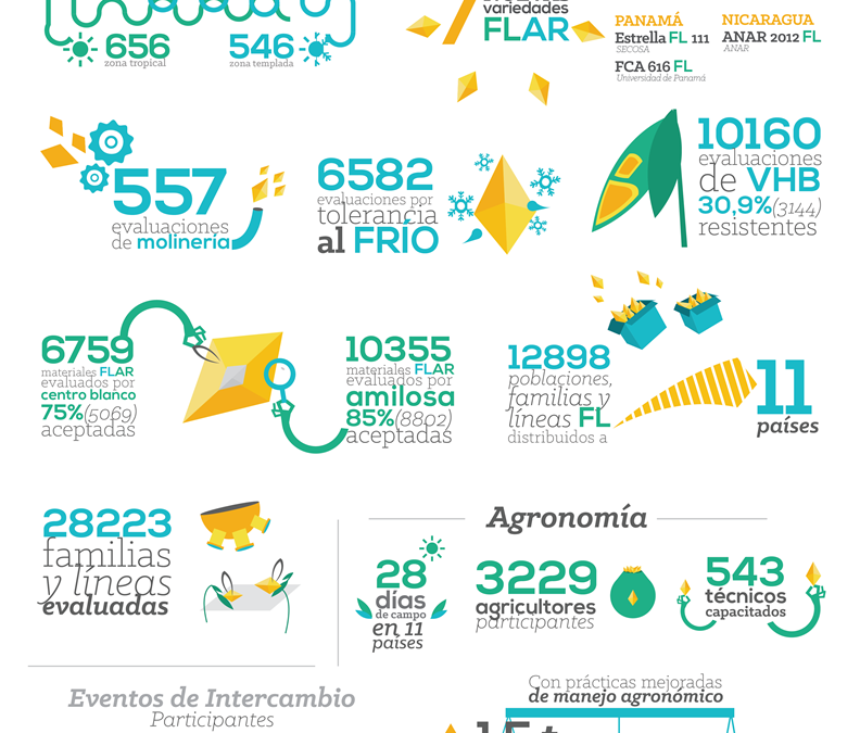 Resumen de la gestión del FLAR en 2013