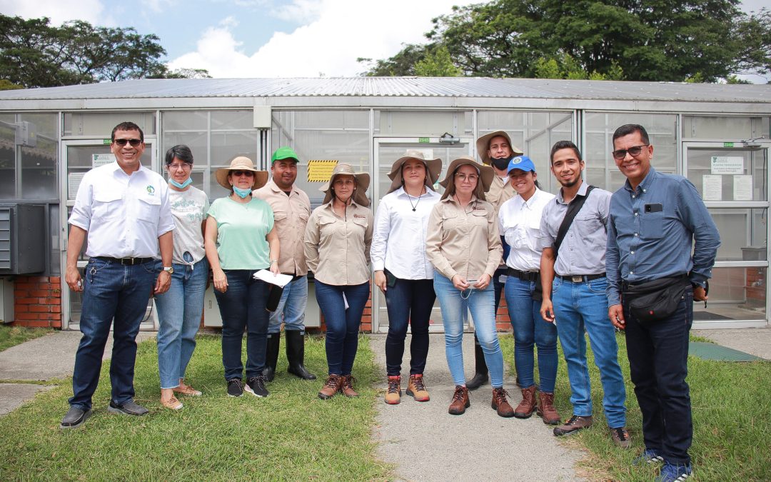 De lo virtual a lo presencial: Una semana de aprendizaje en sistemas de semillas de arroz y fríjol