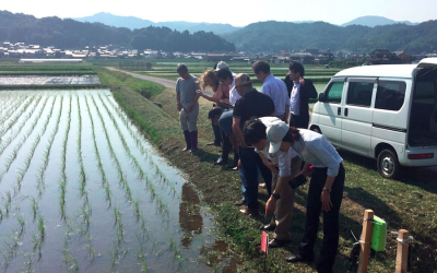 Proyecto colombo japonés, oportunidad para fortalecer al sector arrocero colombiano