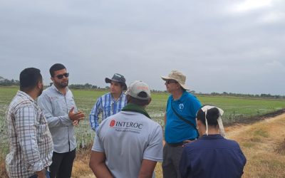 Gilberto Dotto inicia gira técnica en Ecuador