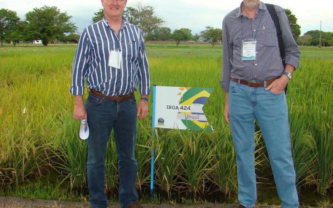 IRGA, CIAT e FLAR definem ações de cooperação para os próximos anos