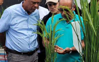 Grupo de productores dominicanos visitan al FLAR y la Alianza Bioversity & CIAT