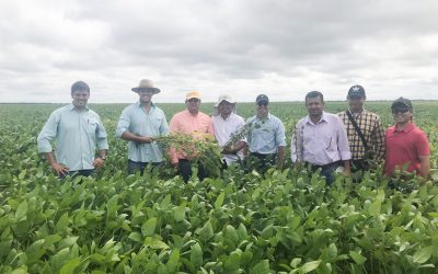 Miembros del FLAR se capacitan en rotación arroz/soya
