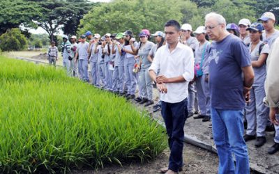 El científico que busca frenar la desnutrición del mundo desde Cali