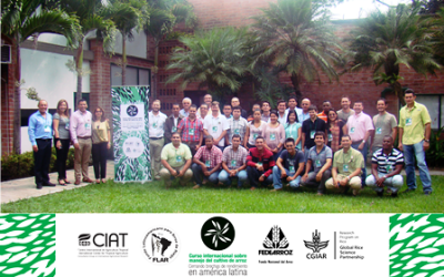 Inicia el Curso Internacional sobre manejo del cultivo de arroz