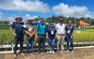 El FLAR participa en la 34 apertura de la cosecha de arroz en Brasil