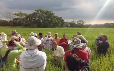 Curso Internacional: Un mes de aprendizaje