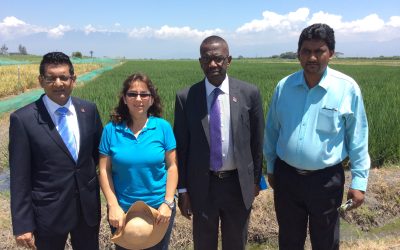 Trinidad y Togabo llega al FLAR