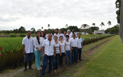 HIAAL: Nueve años impulsando el desarrollo de híbridos en la región