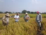 Actividades de Mejoramiento y Agronomía con los socios