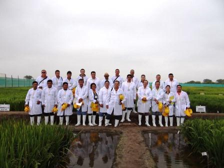Mejoradores de arroz se reunieron en Perú