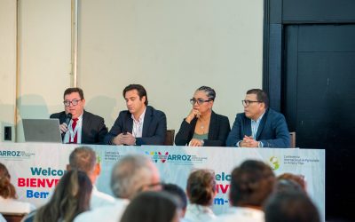 Conferencias de Arroz en Panamá: Un espacio para compartir conocimientos que transformarán los sistemas arroceros de América Latina y en el mundo