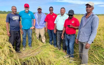 El líder del Programa de Agronomía visita a los miembros FLAR en Guyana