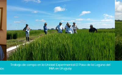 Oficina Regional: Un año de desarrollo y proyecciones