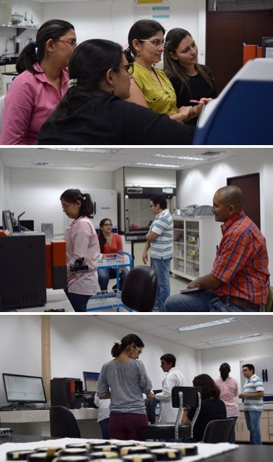 Laboratoristas del CIAT y el FLAR se capacitan en el uso del NIRS DS2500