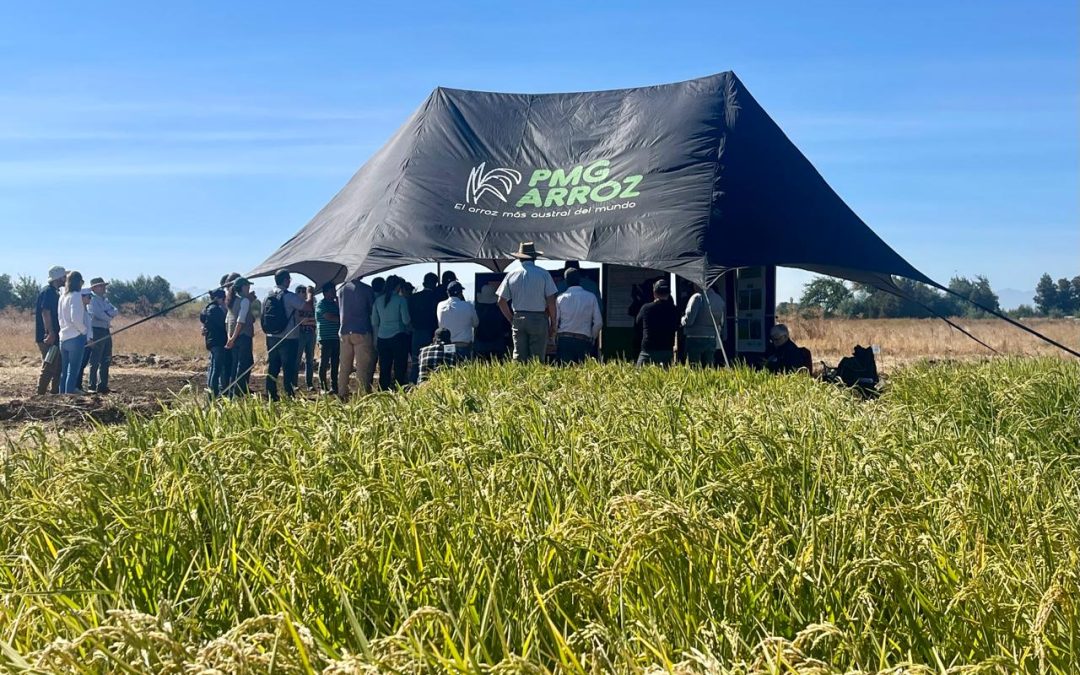 FLAR en el encuentro internacional para la producción de arroz sostenible en Chile