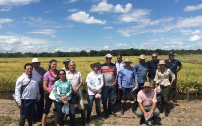 Primer Taller de Selección de Germoplasma para la Zona Templada