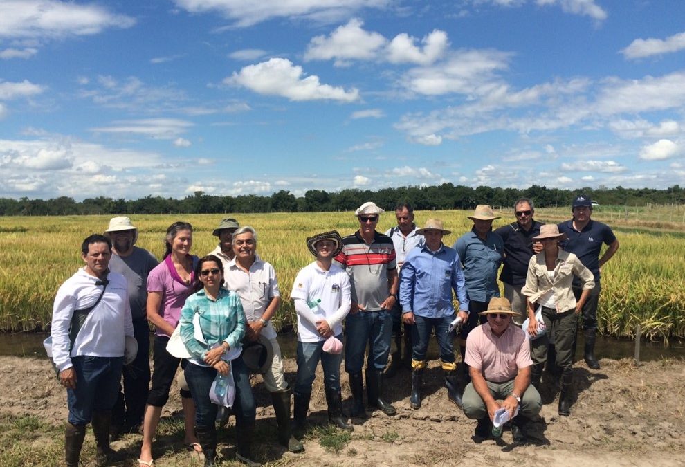 Primer Taller de Selección de Germoplasma para la Zona Templada