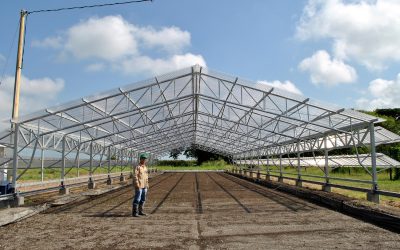 Se inaugura invernadero que ayudará a impulsar al sector arrocero colombiano