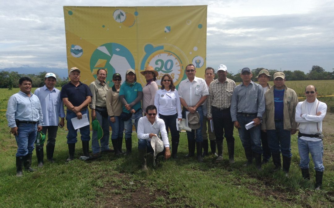 Comité Técnico del FLAR-Zona Tropical: Avances en mejoramiento, agronomía e híbridos