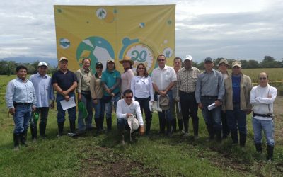 Comité Técnico del FLAR-Zona Tropical: Avances en mejoramiento, agronomía e híbridos