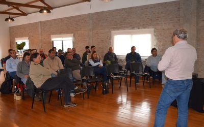 Rompiendo el techo productivo: Cierre exitoso del Proyecto +Arroz +Margen en Uruguay