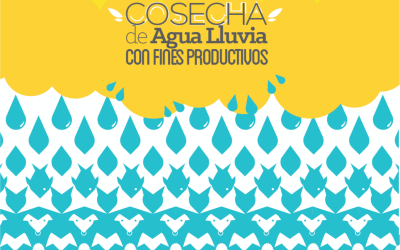 FLAR publica Manual de Cosecha de Agua Lluvia con Fines Productivos, disponible en línea