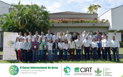 Así va el II Curso Internacional de Arroz