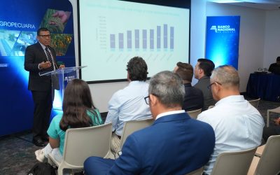 Un año de innovación, alianzas y resultados para el sector arrocero panameño