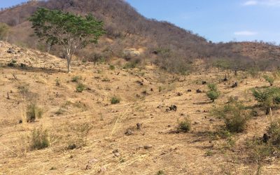 FLAR y CIAT expanden la cosecha de agua en Honduras